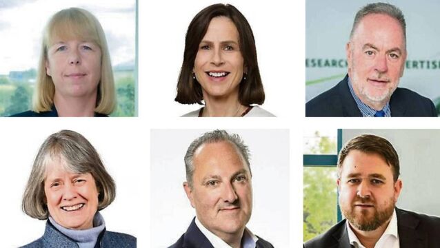 <p>New roles: (top row) Lesley Whelan, Katherine Morrow, John O’Brien; (bottom row) Jane Curtis, Alan Hartley, Tadhg Kelly. </p>