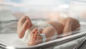 <p>The Irish Nurses and Midwives Organisation (INMO) has consistently, over many years, argued for the introduction of a single-tier health system in this country. File picture</p>