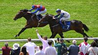 Sergei Diaghilev gets vote to step up and complete recovery mission at Gowran Park
