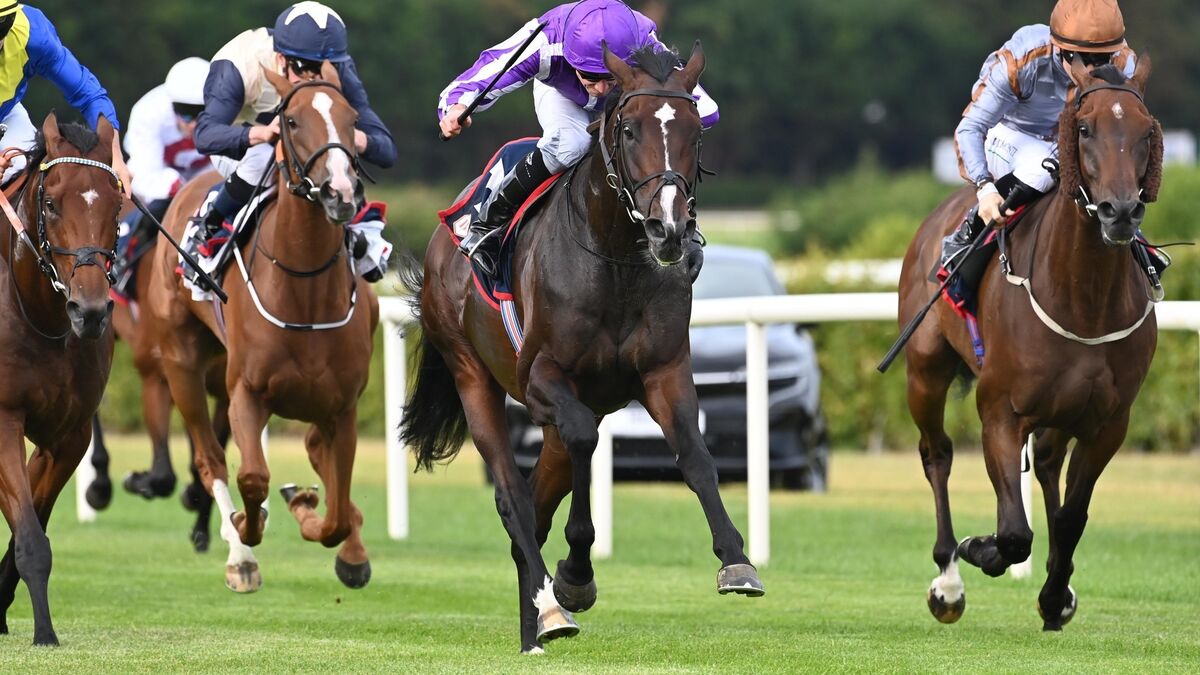 Moore delivers on the double at Leopardstown