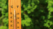 Closeup a wooden thermometer against green foliage showing high temperature