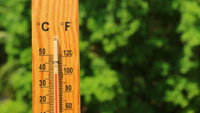 <p>The HSE said seasonal factors can affect numbers attending hospital emergency departments 'including health complications of heat stress' but that no single factor is driving the summer surge. Stock picture: Alamy</p>