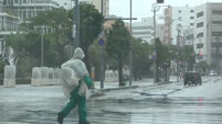 Japan Asia Storm
