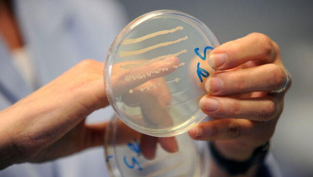 <p>The viruses are specific kinds known as bacteriophages, which only infect bacteria and are used around the world to treat patients with persistent infections. In lab tests, a cocktail of the AI-designed viruses killed E coli bugs that were resistant to natural bacteriophages. File picture</p>