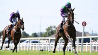 Celeron fancied to give O'Callaghan maiden Group 1 success