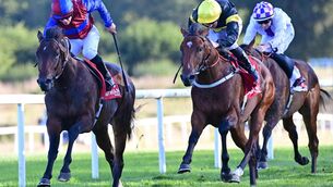 <p>SERGE TO VICTORY: Sergei Diaghilev and Wayne Lordan, left, wins the Coolmore Stud Churchill Stakes from City of Dubai at Gowran Park on Friday. Picture: Healy Racing </p> <p>SERGE TO VICTORY: Sergei Diaghilev and Wayne Lordan, left, wins the Coolmore Stud Churchill Stakes from City of Dubai at Gowran Park on Friday. Picture: Healy Racing </p>