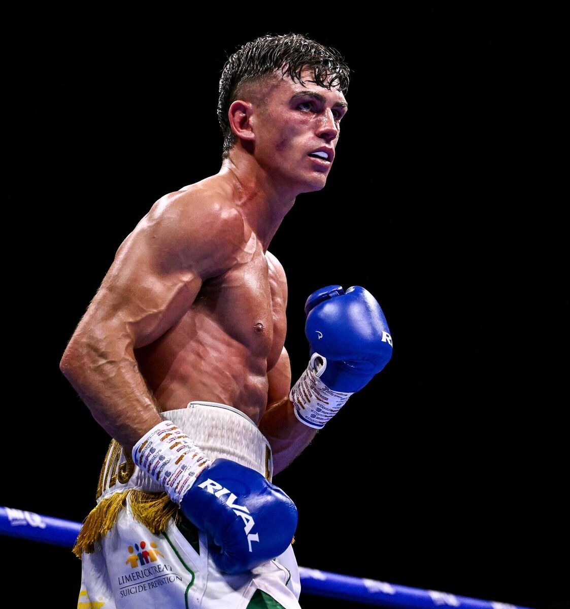 Limerick boxer Lee Reeves was stretchered from the ring after a heavy knockout defeat at Dublin’s 3Arena last Saturday. David Fitzgerald/Sportsfile
Limerick boxer Lee Reeves was stretchered from the ring after a heavy knockout defeat at Dublin’s 3Arena last Saturday. David Fitzgerald/Sportsfile