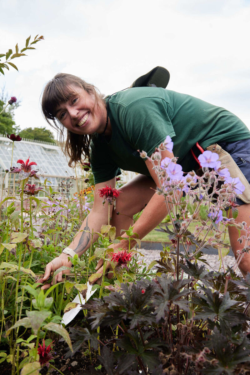 Dromquinna gardener Holly. Picture: Miki Barlok