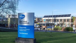 <p> In April of this year, the pharmaceutical giant announced that over 100 jobs would be cut at its plant in Ringaskiddy. </p>