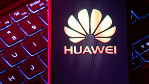 <p>The accounts disclose that the sale of Huawei goods was the chief factor behind the 44% increase in overall revenues from €73.2m to €105.22m.</p> <p>The accounts disclose that the sale of Huawei goods was the chief factor behind the 44% increase in overall revenues from €73.2m to €105.22m.</p>