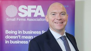 <p>David Broderick, director of the Small Firms Association, said many small firms have stuck with off-the-shelf tools for basic usage, such as basic administration and file storage.</p>