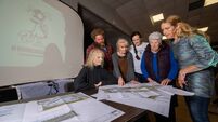 Planners question several aspects of Ringaskiddy incinerator plan 
