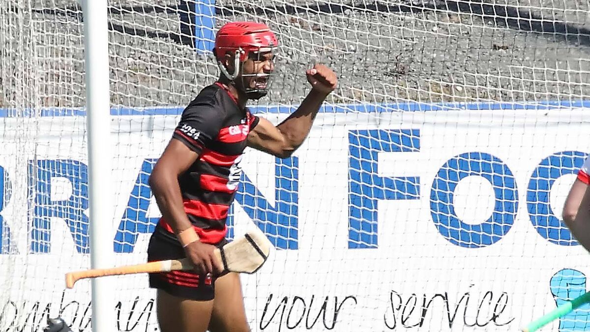 Watch and read: Ferrybank go down as Gunners continue cruise in Waterford SHC