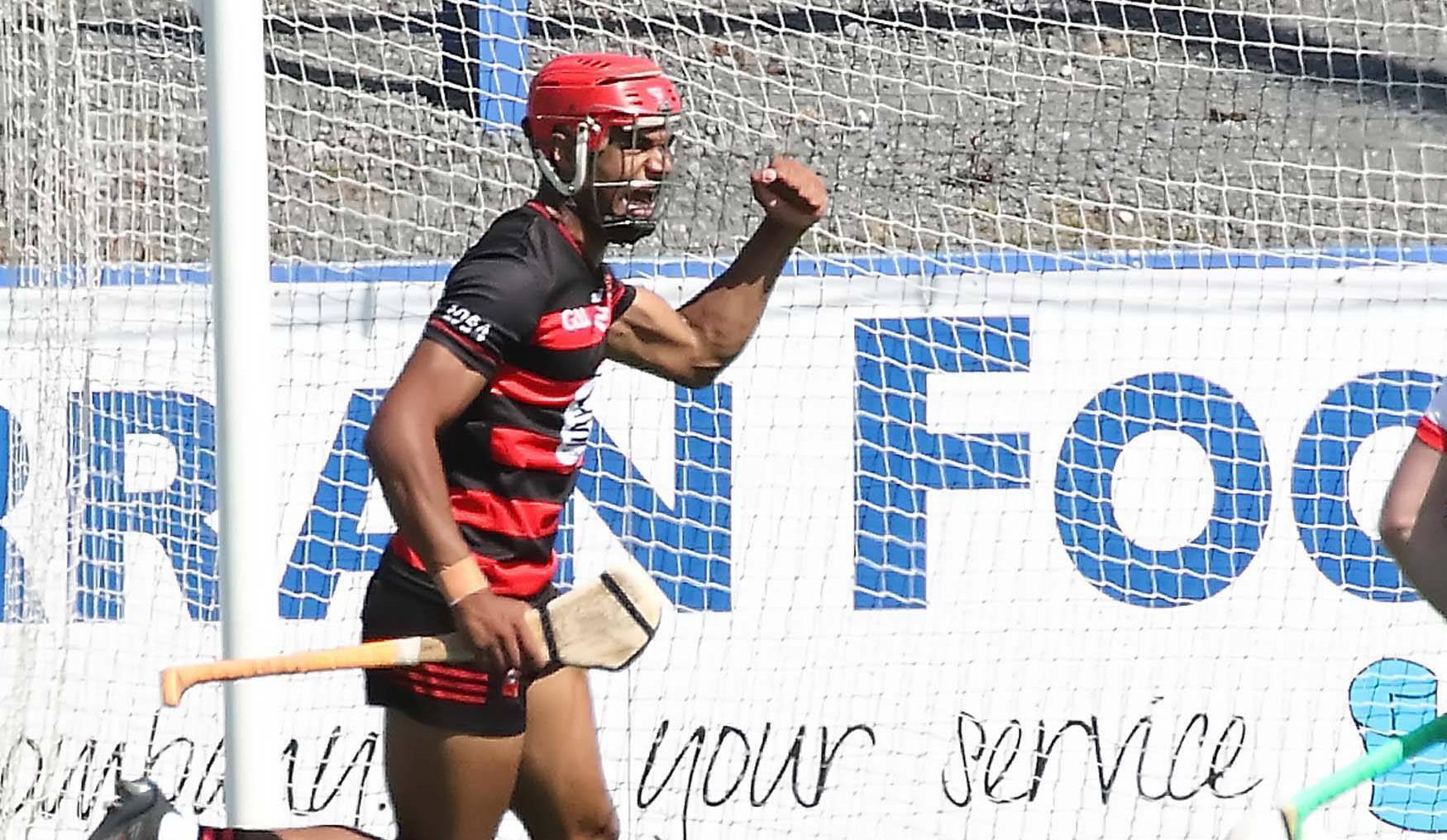 Waterford SHC: Dungarvan and Ferrybank go down as Gunners continue cruise