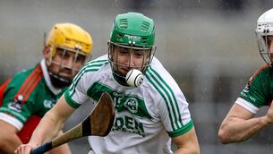 <p>Ballyhale's Niall Shortall netted five times. Pic: ©INPHO/Lorraine O’Sullivan</p>