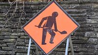 Cork college insists no trees were felled for pitch developed without planning permission