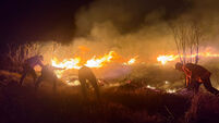 Indonesia Wildfire
