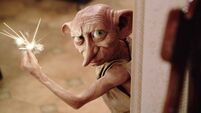 Harry Potter fans force relocation of cable linking Ireland and UK to avoid Dobby's 'grave'