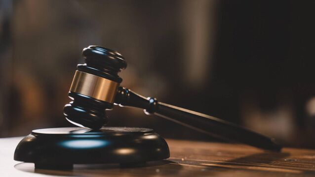 <p>The mother of a 17-year-old unaccompanied learner driver, who was caught driving an Audi A4 2-litre car at 174km/h in a 120km/h zone, made an application at Portlaoise District Court for the return of her son’s car.</p>