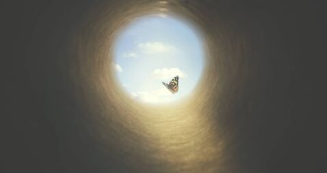 colorful butterfly finds its way out of a dark tunnel, concept of freedom