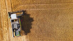 <p>In the current drought scenario, the supplementation of dairy and beef herds with silage and native cereals ticks all the boxes, as opposed to carting inferior feed from halfway around the world.</p> <p>In the current drought scenario, the supplementation of dairy and beef herds with silage and native cereals ticks all the boxes, as opposed to carting inferior feed from halfway around the world.</p>