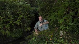 <p>Eoghan Daltun with his book 'An Irish Atlantic Rainforest' at his home near Eyeries in West Cork. In a film based on his book Daltun repeatedly makes the point that landscape diversity matters. Photo: Don MacMonagle</p> <p>Eoghan Daltun with his book 'An Irish Atlantic Rainforest' at his home near Eyeries in West Cork. In a film based on his book Daltun repeatedly makes the point that landscape diversity matters. Photo: Don MacMonagle</p>