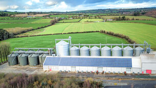 <p>Flahavan's plant at Kilmacthomas, Co Waterford. File picture: Neil Michael</p> <p>Flahavan's plant at Kilmacthomas, Co Waterford. File picture: Neil Michael</p>