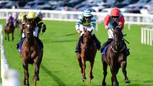 <p>Be My Fortune & Jack Kennedy win the Bank Of Ireland Brendan Maloney Memorial Maiden Hurdle at Ballinrobe. Pic: Healy Racing</p> <p>Be My Fortune & Jack Kennedy win the Bank Of Ireland Brendan Maloney Memorial Maiden Hurdle at Ballinrobe. Pic: Healy Racing</p>
