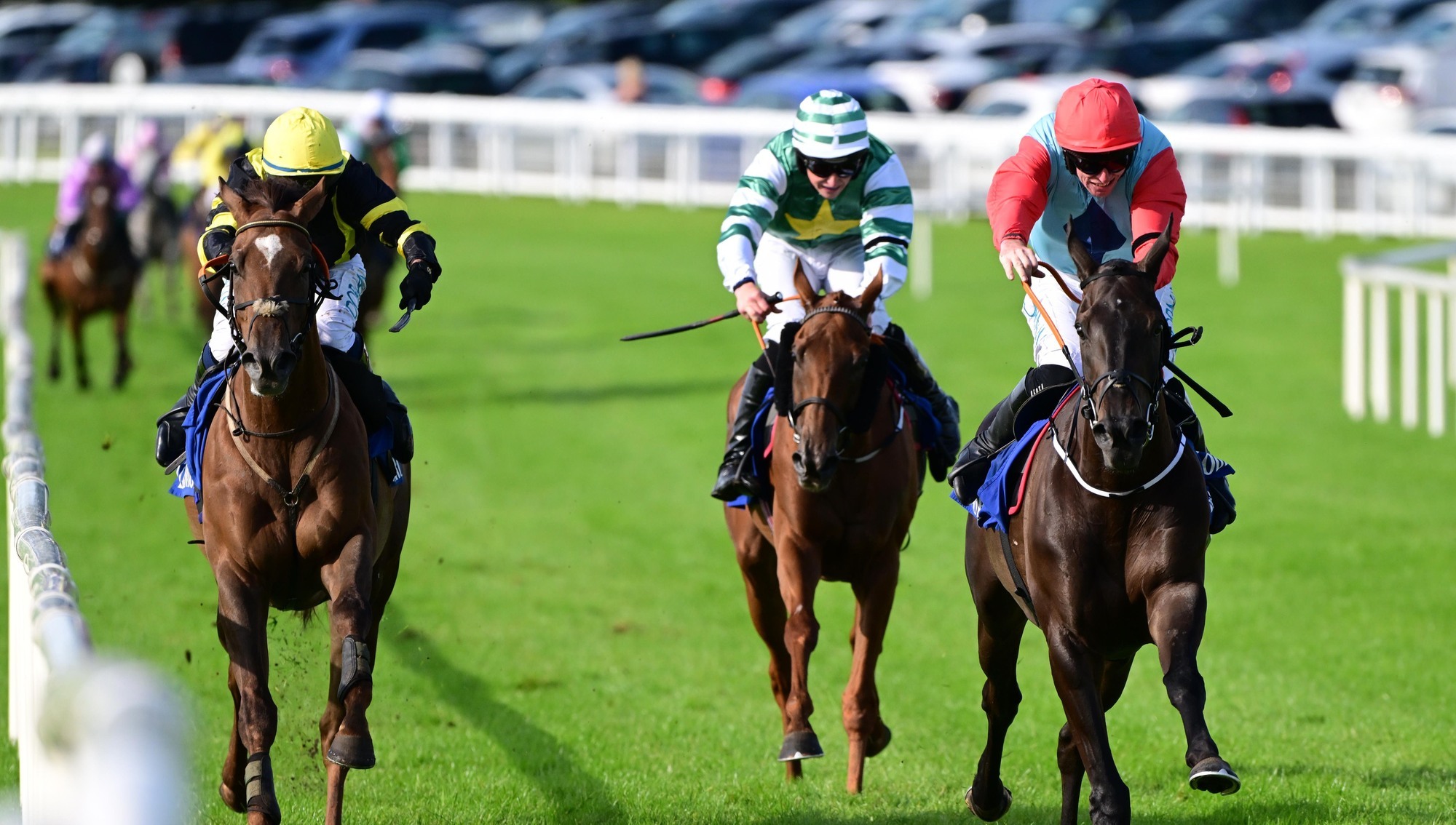 Be My Fortune and Jack Kennedy win the Bank Of Ireland Brendan Maloney Memorial Maiden Hurdle at Ballinrobe. Pic: Healy Racing