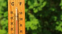 Closeup a wooden thermometer against green foliage showing high temperature