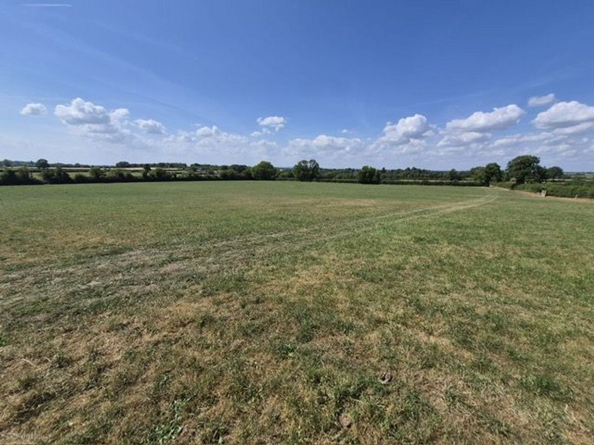 Some of the land at Cottrellsbooly, Stoneyford, Co. Limerick.
