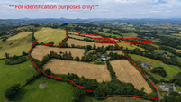 €12,700 per acre sought for 51ac farm in West Cork hotspot