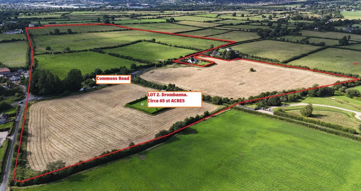 Lot 2 and 3 of the 112-acre farm at Drombanna, Co. Limerick. Lot 2 and 3 of the 112-acre farm at Drombanna, Co. Limerick.