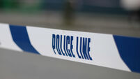 Harlesden shooting death