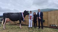Farm safety group will target area where half have had accidents