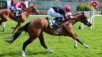 Skydance can soar in Gowran Park feature