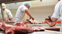 workplace food industry - factory butchery for the production of sausages - butcher cuts meat