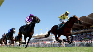 <p>FITTING FINALE: Bow Echo gets up to deny old rival Gstaad to the win the Sussex Stakes at Goodwood, a race that would prove his final career start.  	Picture: Healy Racing</p>