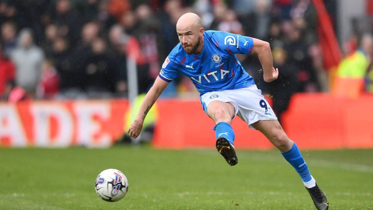 'I feel I still have a lot to offer': Former Ireland striker Paddy Madden returns to Bohemians