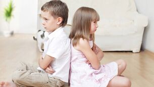 <p>The circle of life is well and truly alive in the extended O’Shea family tree when it comes to being able to fight with brothers and sisters. Picture: iStock. </p> <p>The circle of life is well and truly alive in the extended O’Shea family tree when it comes to being able to fight with brothers and sisters. Picture: iStock. </p>