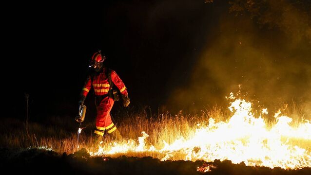 Members of the Emergency Military Unit halt the spread of wildfires in Spain's Madrid border region last month. The rapid heating in Europe is leading to ever more deaths and more intense wildfires and droughts. Photo: Pablo Blazquez Dominguez/Getty Images <p>Members of the Emergency Military Unit halt the spread of wildfires in Spain's Madrid border region last month. The rapid heating in Europe is leading to ever more deaths and more intense wildfires and droughts. Photo: Pablo Blazquez Dominguez/Getty Images</p>