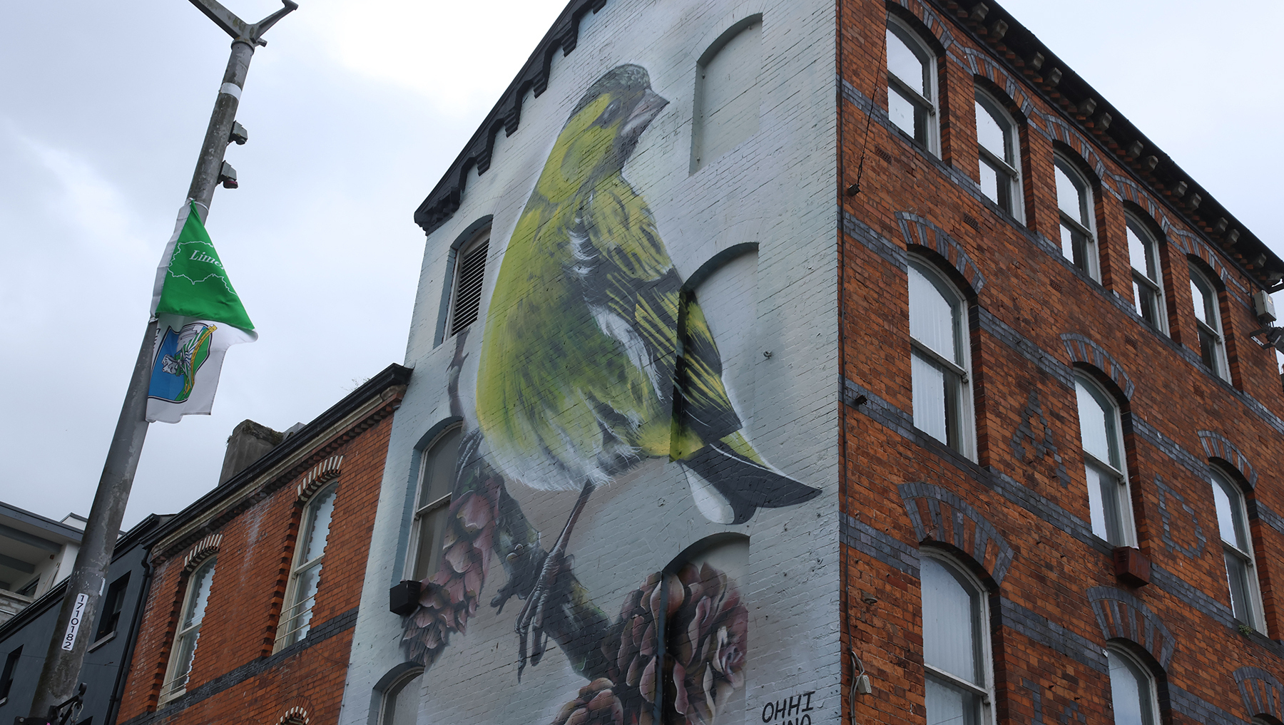 Limerick’s Bedford Row became an unlikely tourist destination for Blindboy fans after he nicknamed the area the ‘Birdshit District’. Picture: Brendan Gleeson