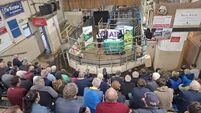 Factories play ‘take it or leave it’ as cattle prices soften