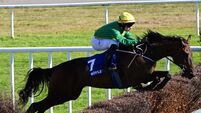 Quickfire double on horizon for Rightfolksplease?