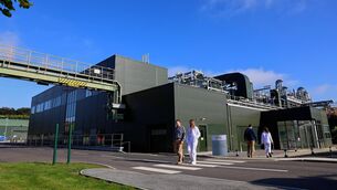 <p>Key active ingredients of Lilly's products are produced in the company's huge facilities in Kinsale (pictured) and Limerick.</p> <p>Key active ingredients of Lilly's products are produced in the company's huge facilities in Kinsale (pictured) and Limerick.</p>