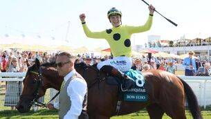 <p> Bow Echo and Billy Loughnane win from Gstaad for trainer George Boughey in the Visit Qatar Sussex Stakes (Group 1) at Goodwood last month. Pic: Healy Racing</p> <p> Bow Echo and Billy Loughnane win from Gstaad for trainer George Boughey in the Visit Qatar Sussex Stakes (Group 1) at Goodwood last month. Pic: Healy Racing</p>