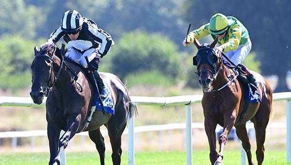 Joseph O'Brien continues march to century with Gowran Park double