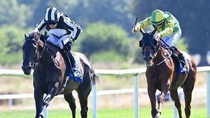 <p>MAKE MINE A DOUBLE: Star Performer and Declan McDonogh win the Darley Irish EBF Hurry Harriet Stakes (Listed). Pic: Healy Racing Photo.</p> <p>MAKE MINE A DOUBLE: Star Performer and Declan McDonogh win the Darley Irish EBF Hurry Harriet Stakes (Listed). Pic: Healy Racing Photo.</p>