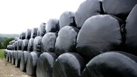 Black plastic wrap cover for cereal bales