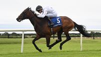 Alwaysanangel has the wings to soar past Maire Rua in Cork cracker 